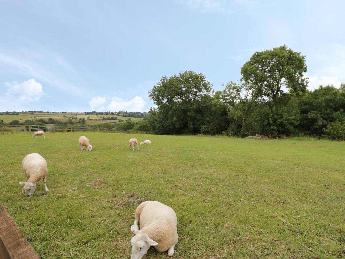Holmer Farm Леминстер Экстерьер фото